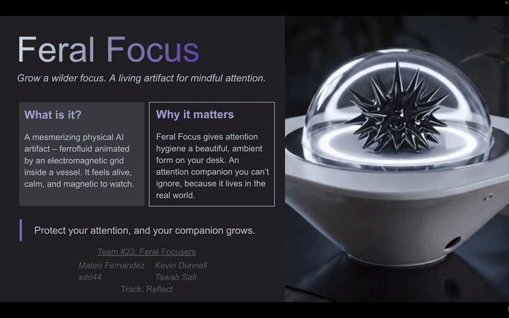 Feral Focus system overview slide