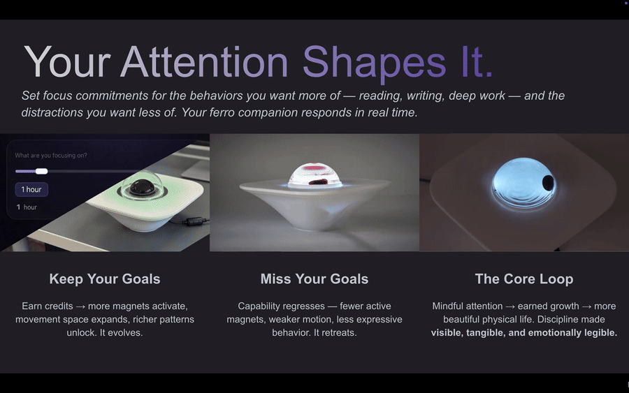 Feral Focus interaction model slide